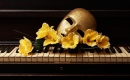 I'll Never Love Again - Playback Piano - A Star is Born - Version Instrumentale