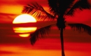 Calypso - Karaoké Instrumental - Luis Fonsi - Playback MP3 Calypso - Karaoké Instrumental - Luis Fonsi - Playback MP3