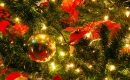 Playback Basse Gratuit - Mon beau sapin - Chant de Noël - Version Instrumentale