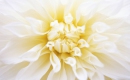 With Or Without You - Karaoké Instrumental - U2 - Playback MP3 With Or Without You - Karaoké Instrumental - U2 - Playback MP3