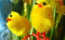 Quand trois poules vont aux champs - Playback MP3 Gratuit - Comptine - Version Karaoké Quand trois poules vont aux champs - Playback MP3 Gratuit - Comptine - Version Karaoké