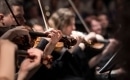 You Don't Have To Say You Love Me (with the Royal Philharmonic Orchestra) - Karaoké Instrumental - Elvis Presley - Playback MP3 You Don't Have To Say You Love Me (with the Royal Philharmonic Orchestra) - Karaoké Instrumental - Elvis Presley - Playback MP3
